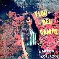 Flor Del Campo, Vol. 2 - Garzon Y Collazos