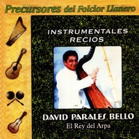 Instrumentales Recios - David Parales Bello