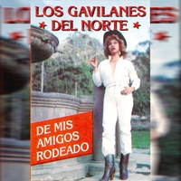de mis amigos rodeado