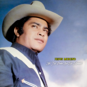 Ya No Podré Ser Tu Amante