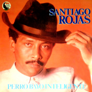 Perro Bayo Inteligente