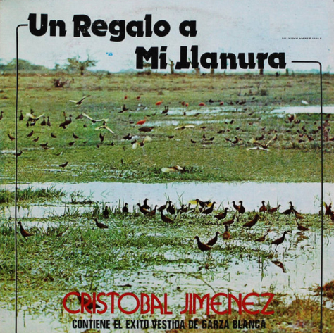 Un Regalo A Mi Llanura