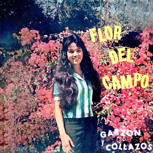 Flor Del Campo, Vol.2