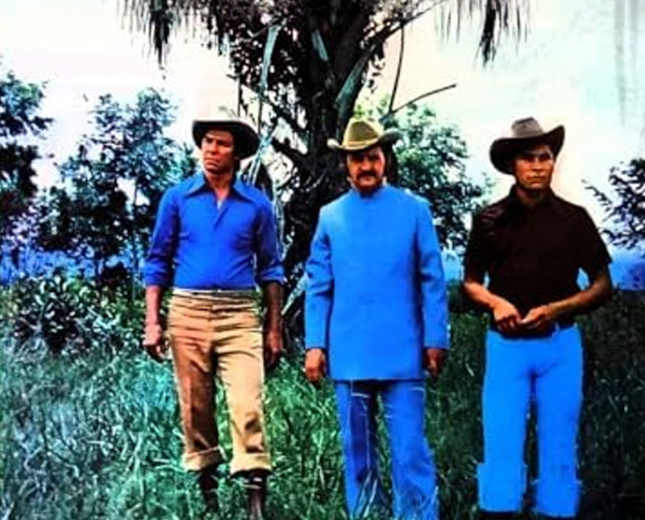 LOS LLANEROS DEL ARAUCA