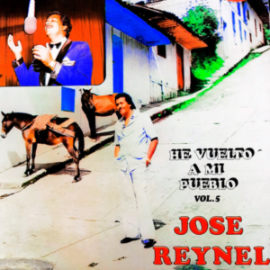 He Vuelto A Mi Pueblo Vol.5